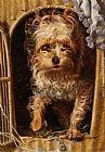 Darby in his Basket Kennel by Anthony Frederick Sandys